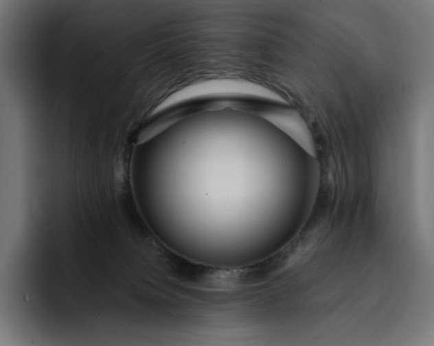 X0000093130084200710101107