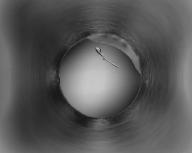 X0000093130087200710101107