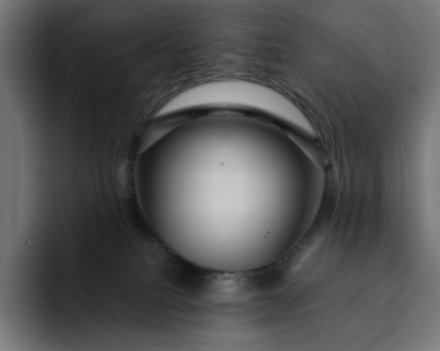 X0000093130088200710101107