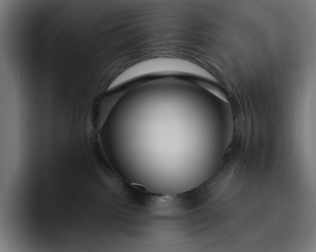 X0000093130092200710101107