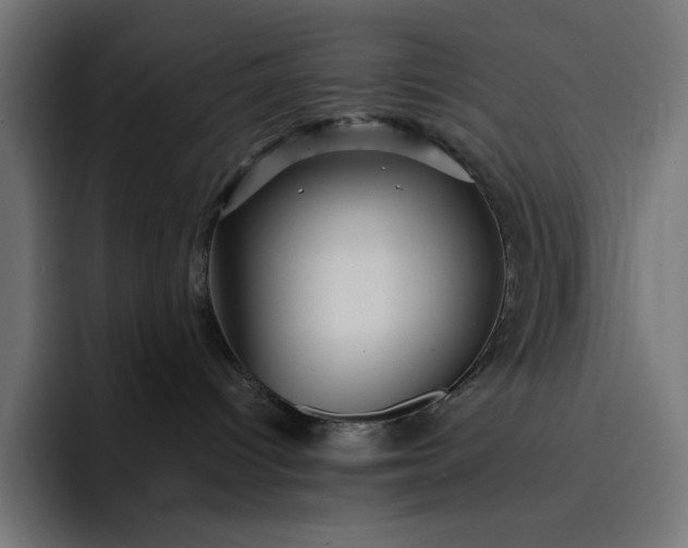 X0000093130096200710101107