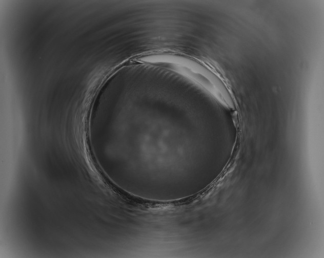 X0000093130097200710101106