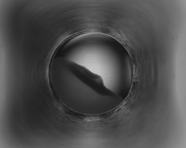 X0000093130099200710101106