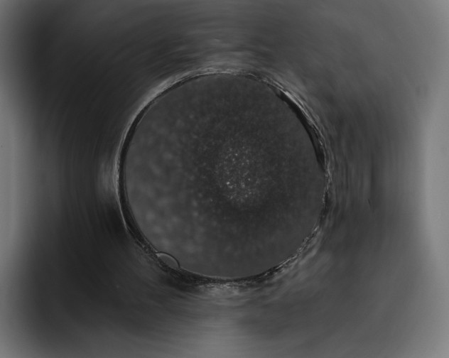 X0000093130100200710101106