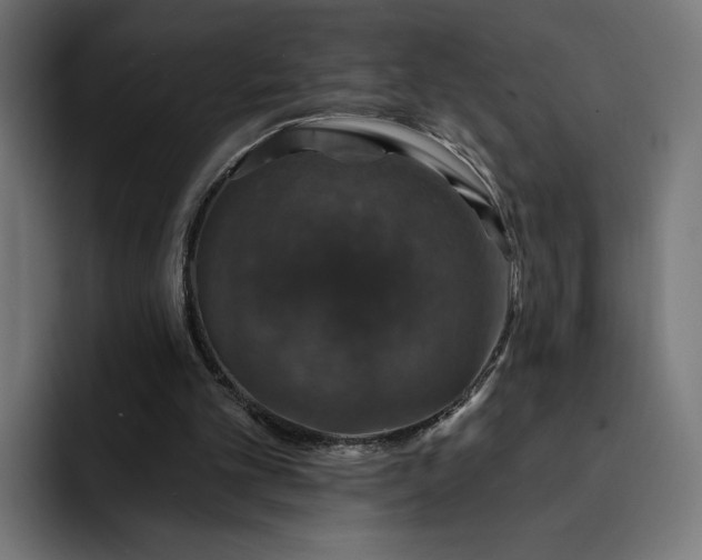 X0000093130101200710101106