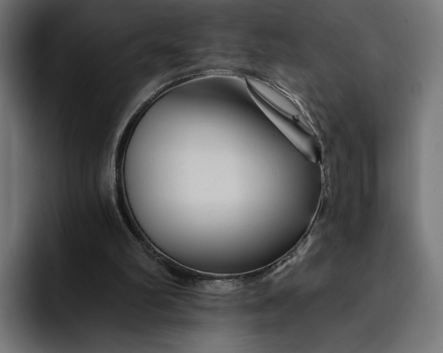 X0000093130102200710101106