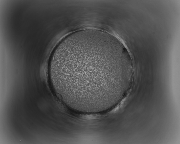 X0000093130103200710101106