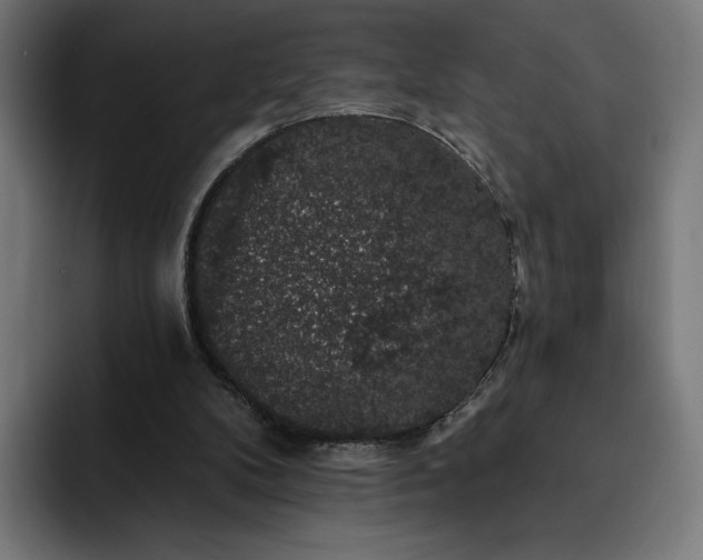 X0000093130104200710101106