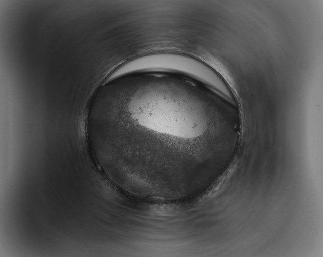 X0000093130105200710101106