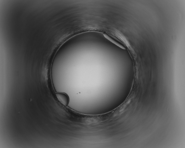 X0000093130106200710101106