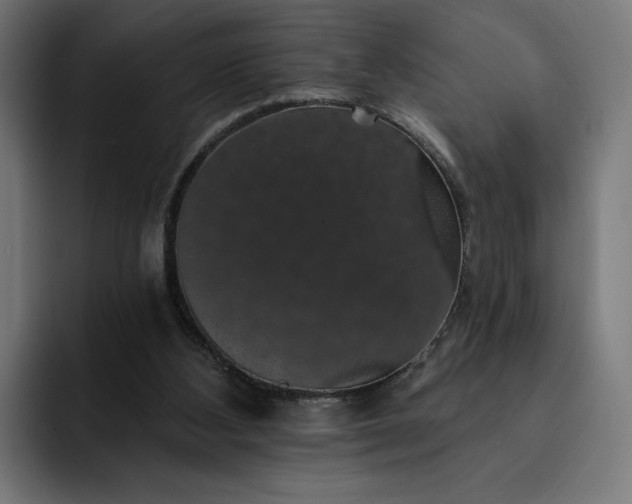 X0000093130108200710101106