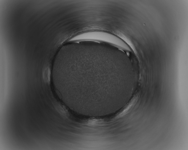 X0000093130109200710101106