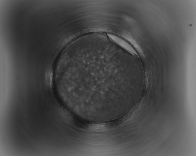 X0000093130110200710101106