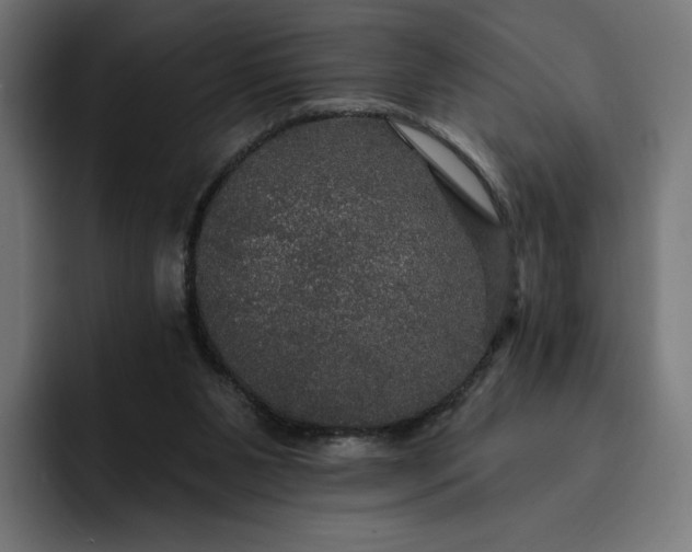 X0000093130111200710101106