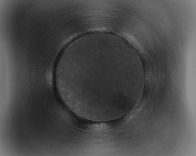 X0000093130112200710101106