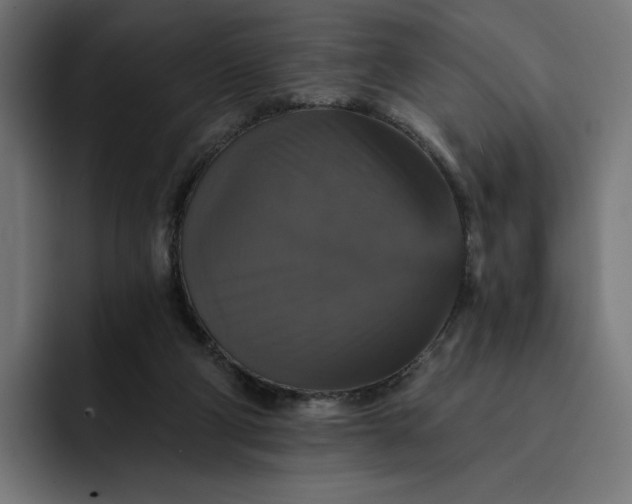 X0000093130114200710101106