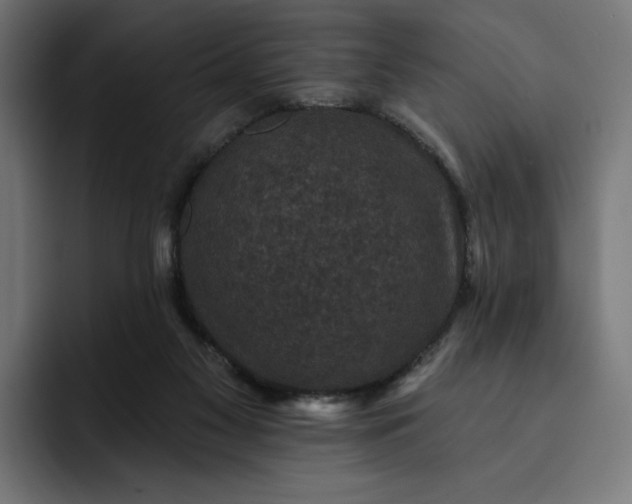 X0000093130117200710101106