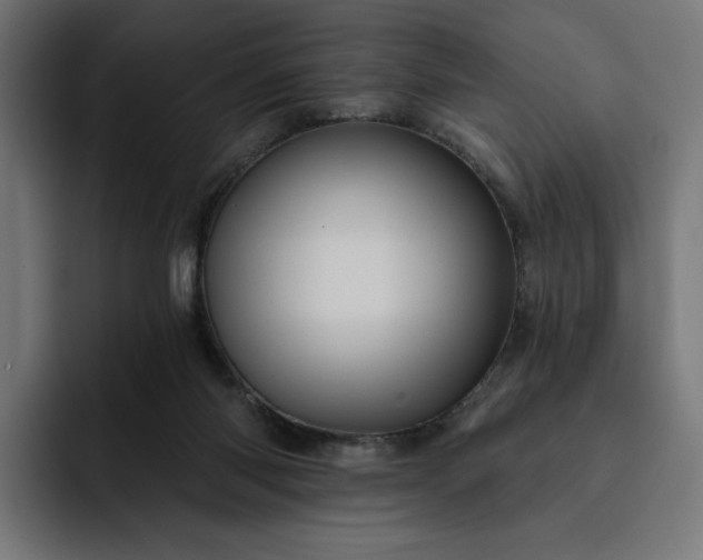 X0000093130118200710101106