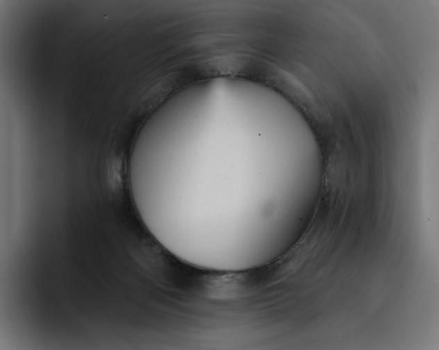 X0000093130122200710101106