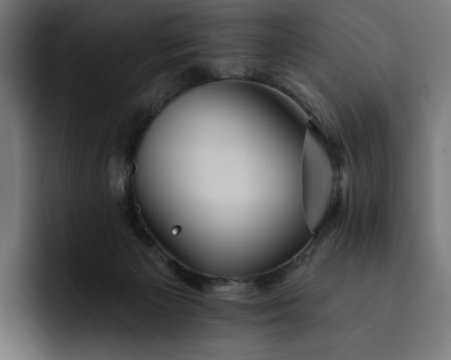 X0000093130125200710101106