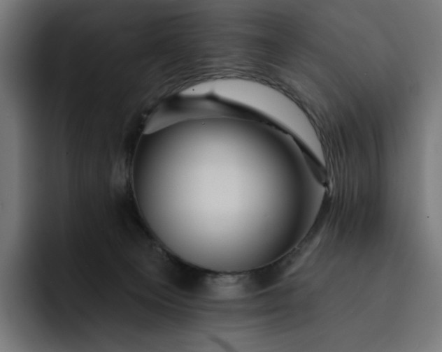 X0000093130129200710101106