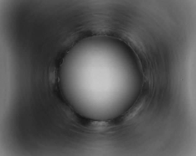 X0000093130133200710101106