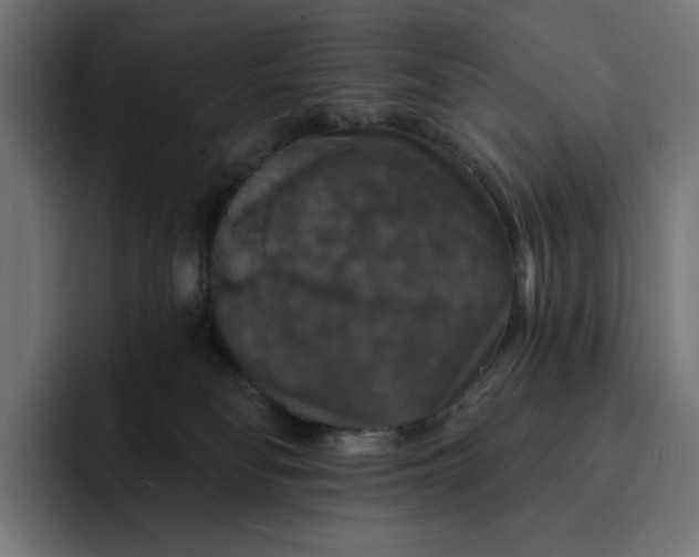 X0000093130134200710101106