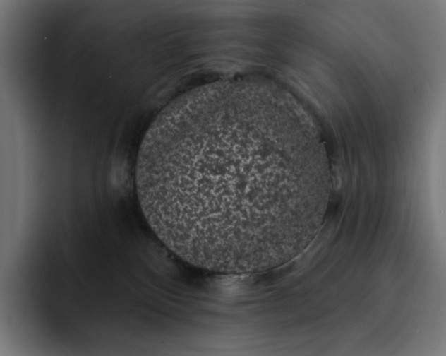 X0000093130136200710101106