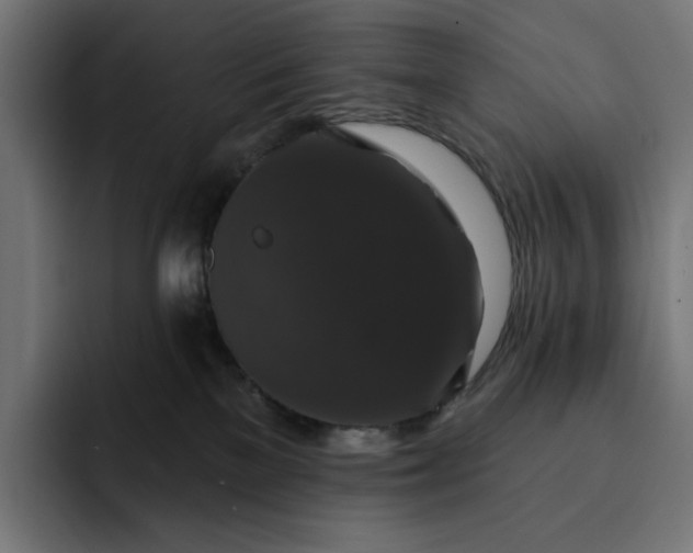 X0000093130137200710101106