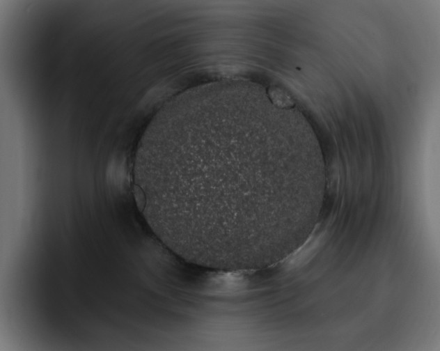 X0000093130140200710101106