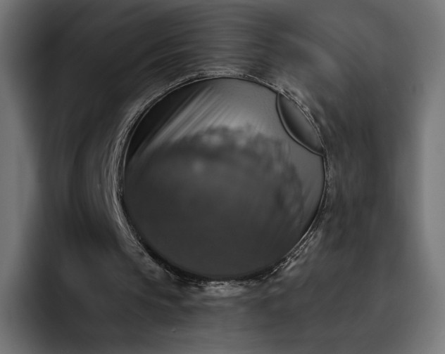 X0000093130145200710101105