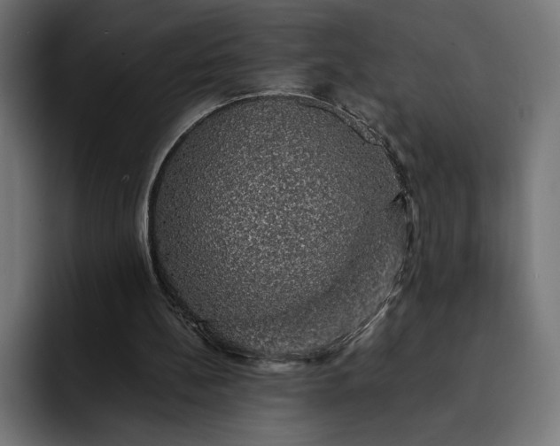 X0000093130148200710101105