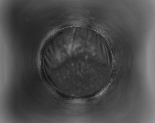 X0000093130149200710101105