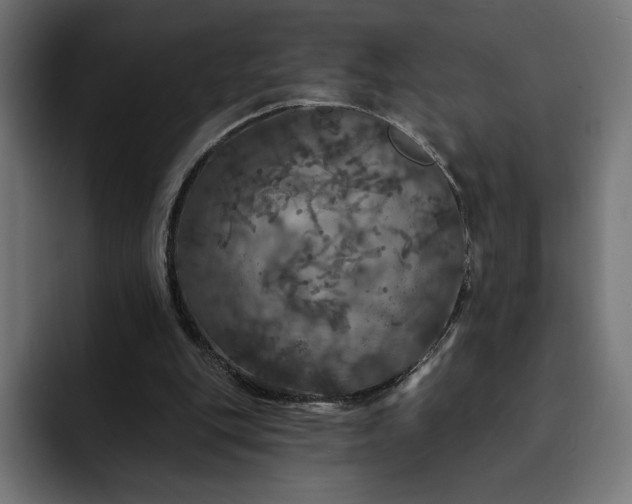 X0000093130151200710101105