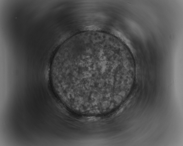 X0000093130153200710101105