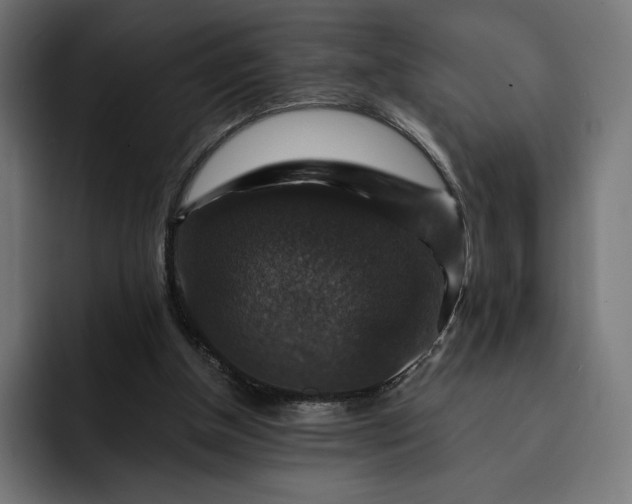 X0000093130154200710101105