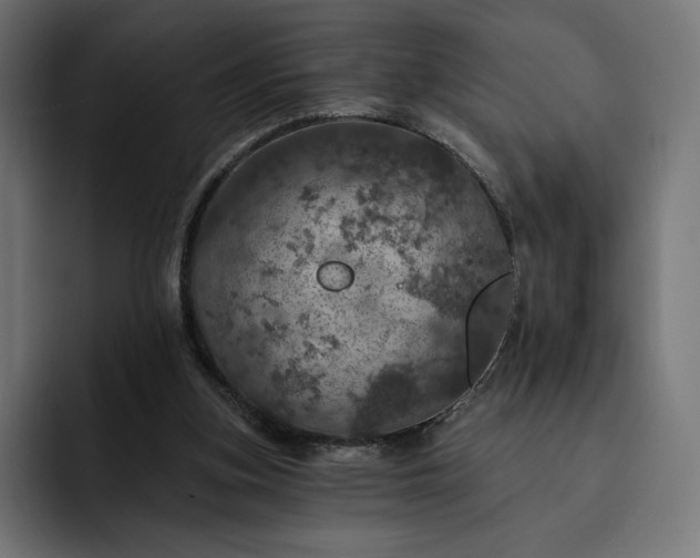 X0000093130155200710101105