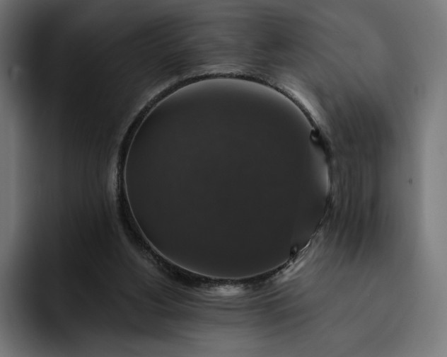 X0000093130156200710101105