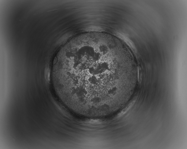 X0000093130157200710101105