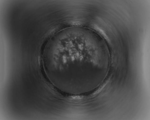 X0000093130161200710101105