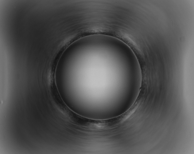 X0000093130164200710101105