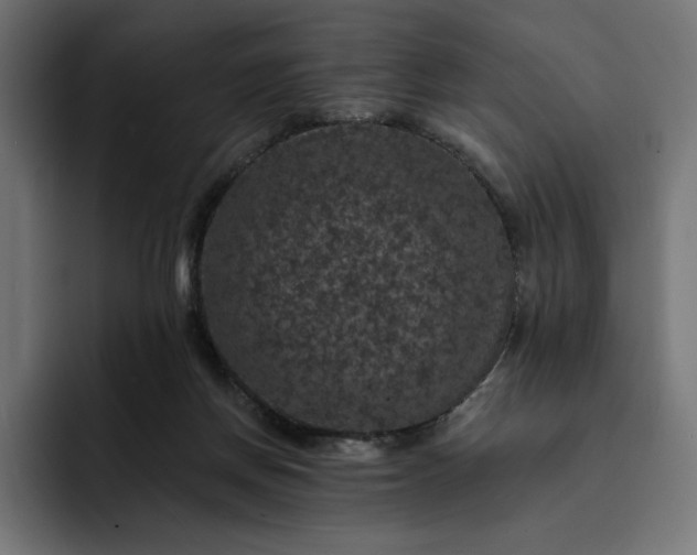 X0000093130166200710101105