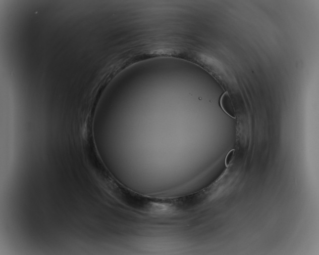 X0000093130167200710101105