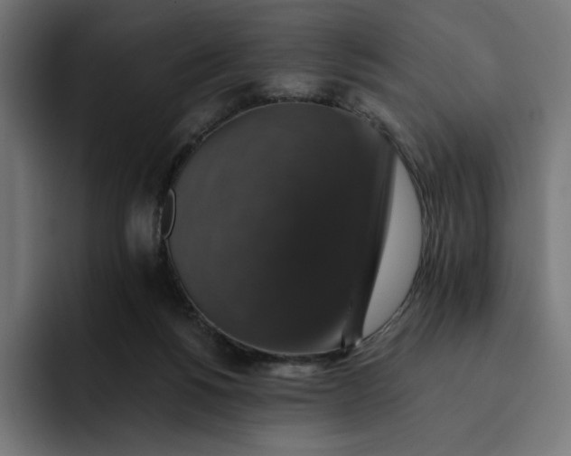 X0000093130168200710101105