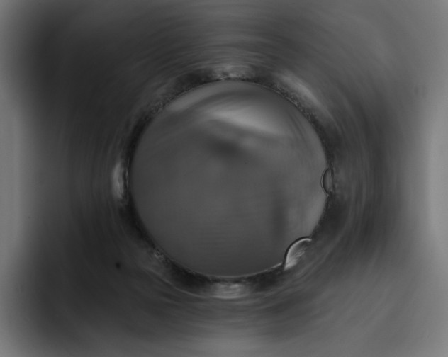 X0000093130169200710101105