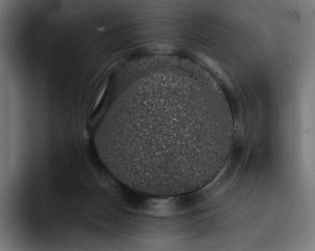 X0000093130170200710101105