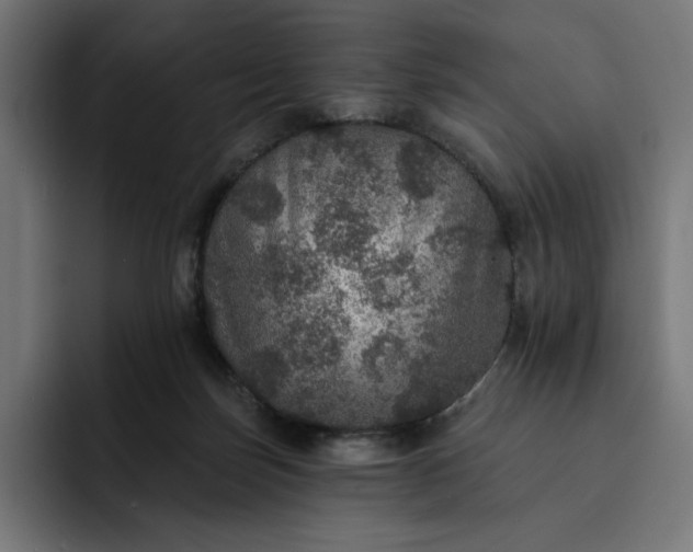 X0000093130171200710101105