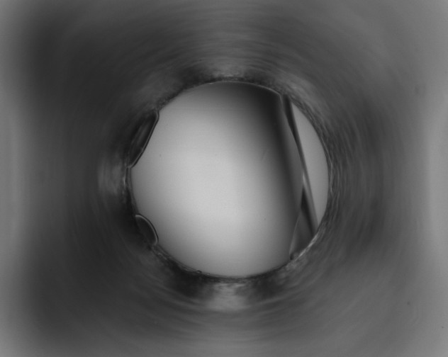 X0000093130172200710101105