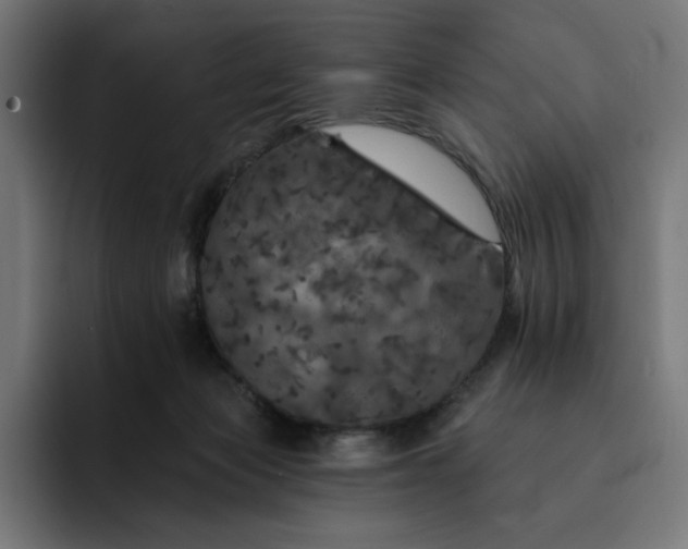 X0000093130173200710101105