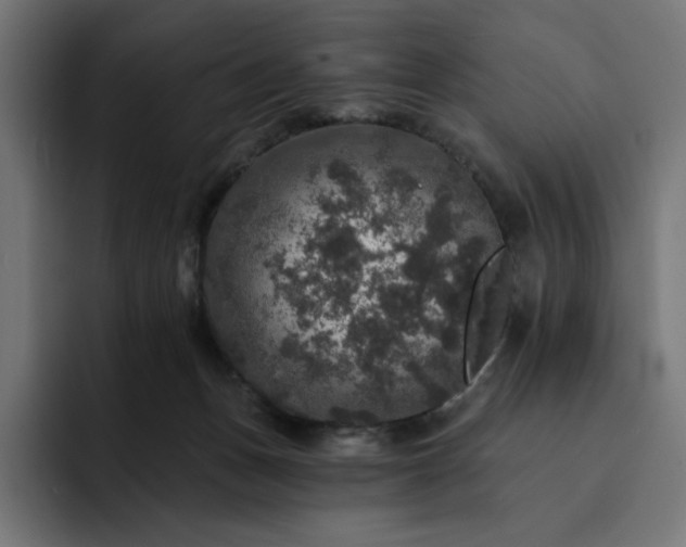 X0000093130175200710101105